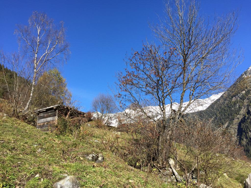 Appart Kalsberger Kaunertal Pokoj fotografie